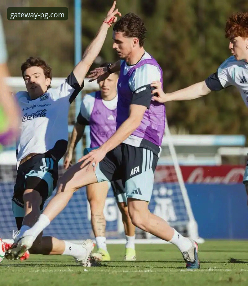 PG官网客户端 帕尼切利伤退世界杯:阿根廷战术版图缺失与球星命运的深度解析